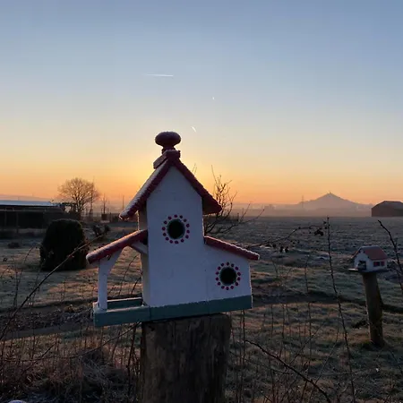 Finkennest Am Desenberg *