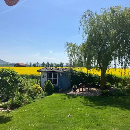 Finkennest Am Desenberg *