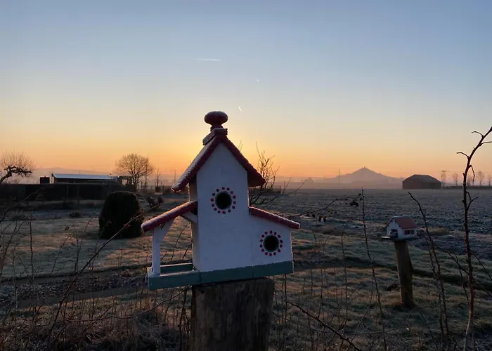 Finkennest Am Desenberg *