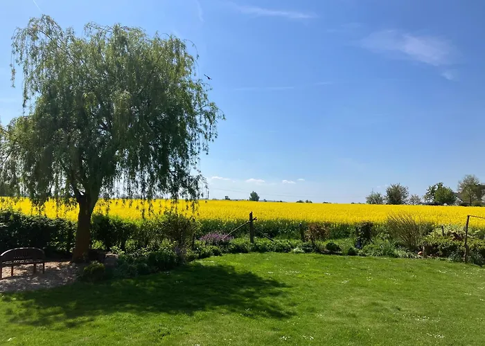 Finkennest Am Desenberg Vakantiehuis Warburg